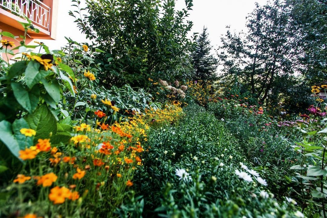 Getting Your Garden Ready for Spring